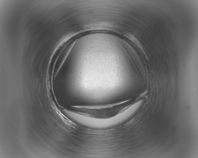 X0000080741072200701021141