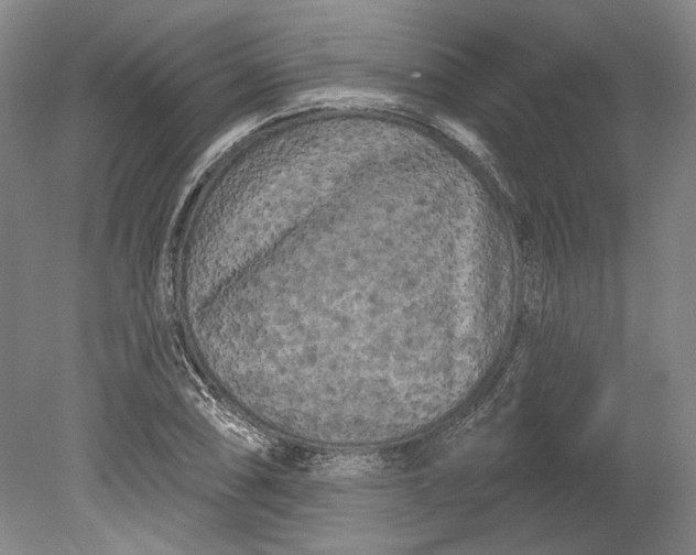 X0000080741074200701021141