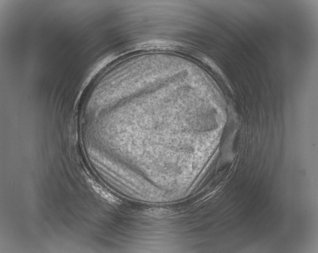 X0000080741075200701021141