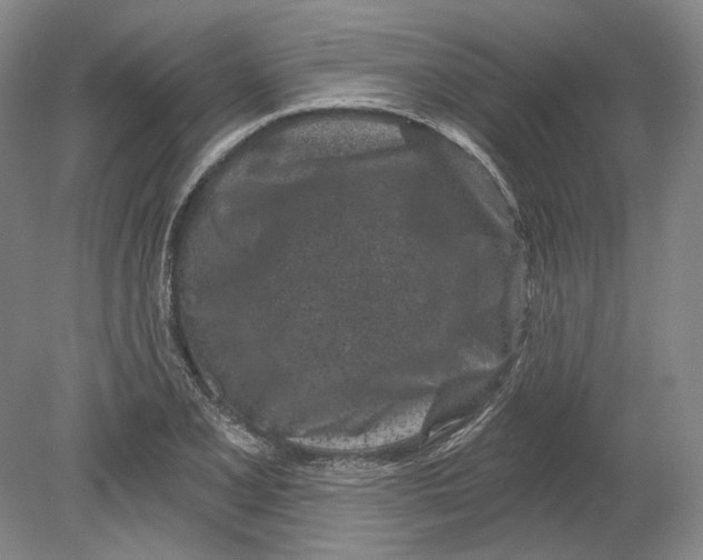 X0000080741077200701021140