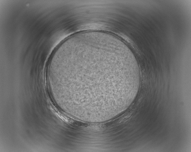 X0000080741078200701021140