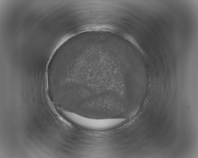 X0000080741079200701021140