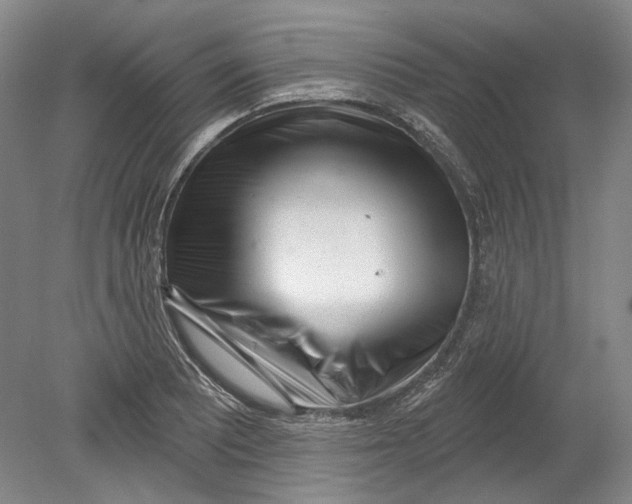 X0000080741081200701021140