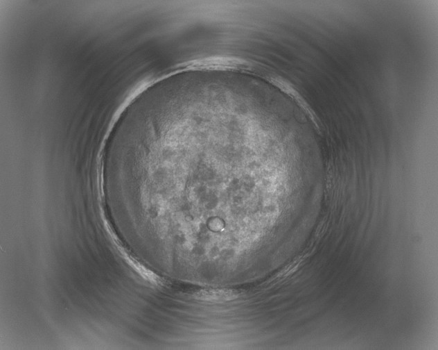 X0000080741083200701021140