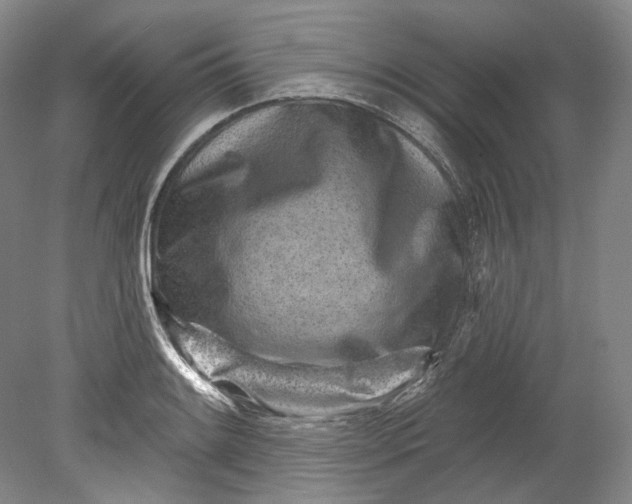 X0000080741084200701021140