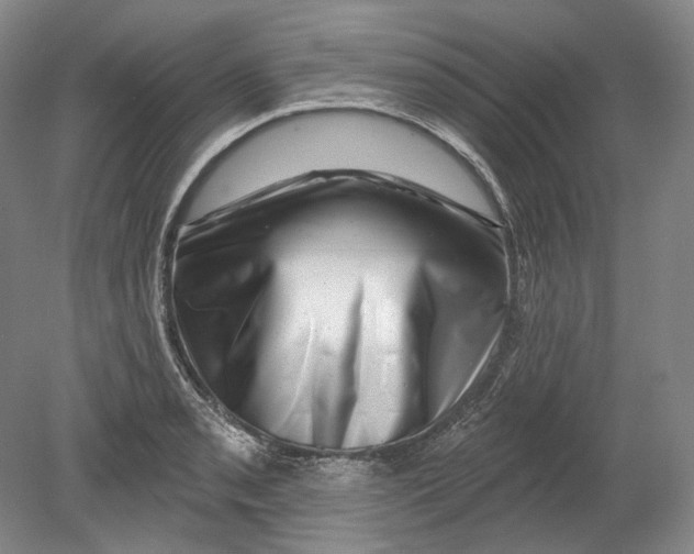 X0000080741085200701021140