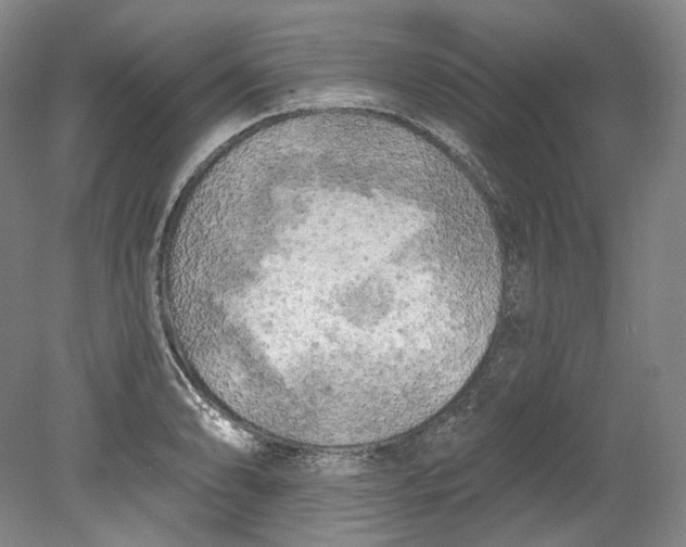 X0000080741086200701021140