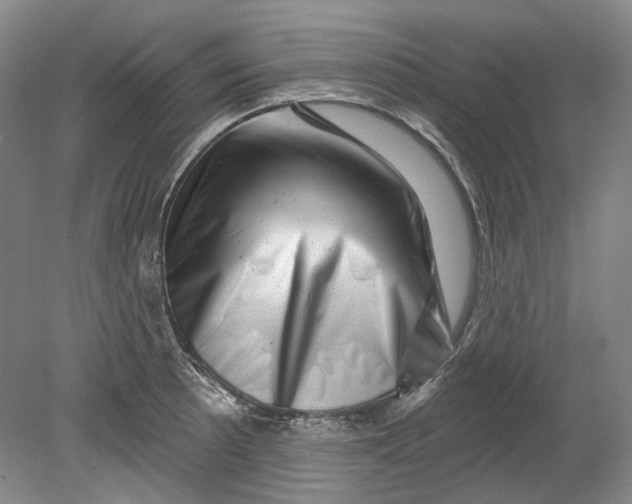 X0000080741089200701021140