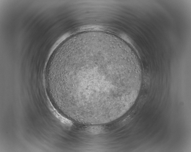 X0000080741090200701021140