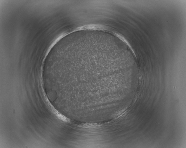 X0000080741091200701021140