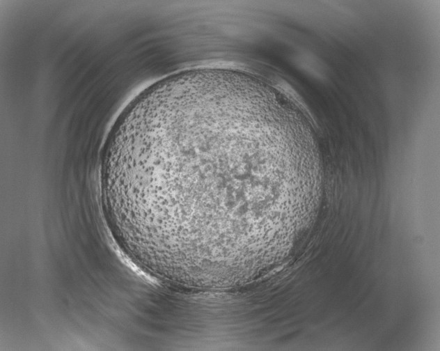 X0000080741092200701021140