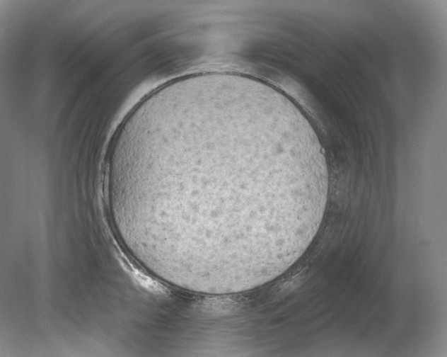 X0000080741094200701021140