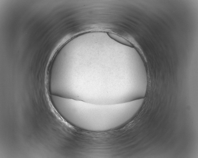 X0000080741096200701021140