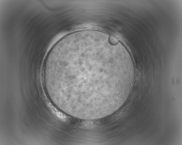 X0000080741098200701021140