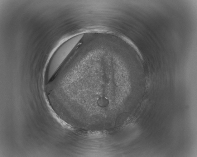 X0000080741099200701021140