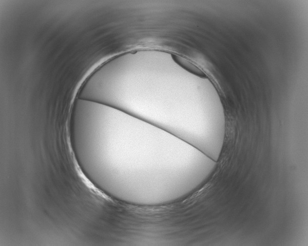 X0000080741100200701021140