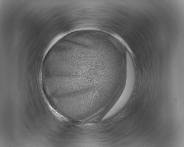 X0000080741101200701021140