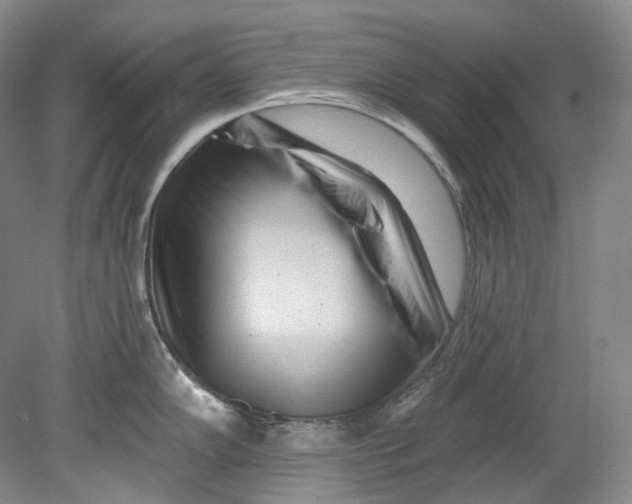 X0000080741102200701021140