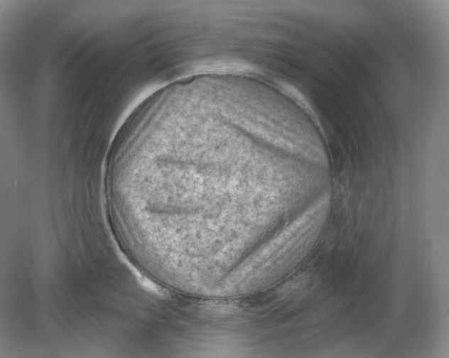 X0000080741103200701021140