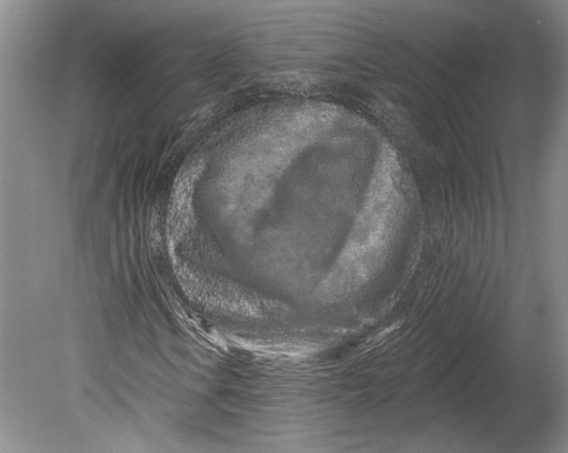 X0000080741106200701021139