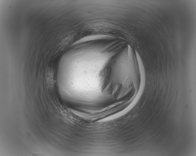 X0000080741108200701021139