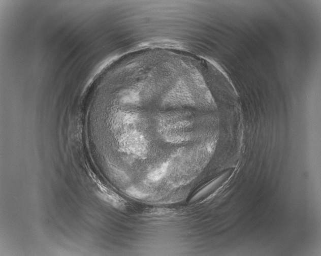 X0000080741115200701021139