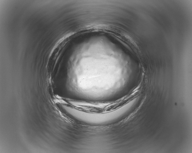 X0000080741117200701021139