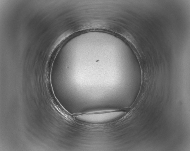 X0000080741119200701021139