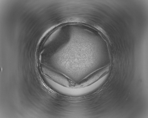 X0000080741120200701021139