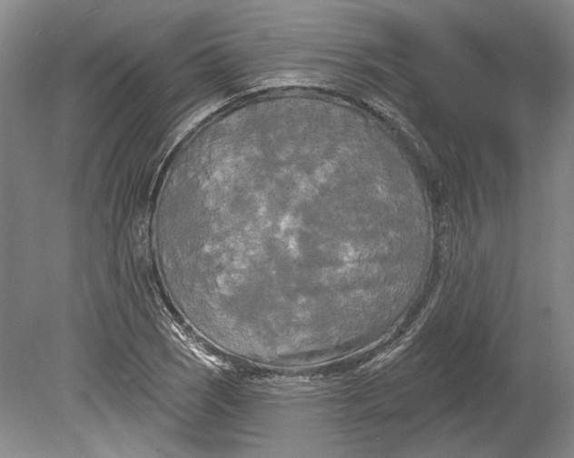 X0000080741121200701021139