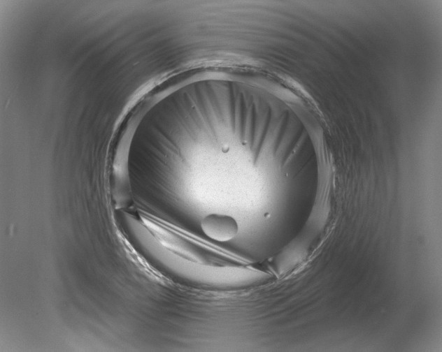 X0000080741122200701021140