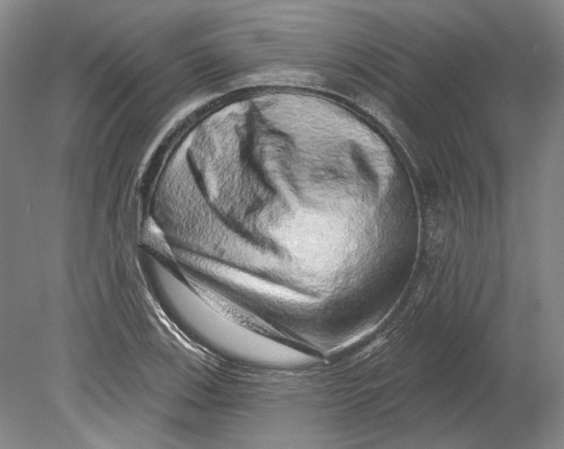 X0000080741123200701021140