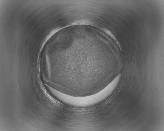 X0000080741124200701021140