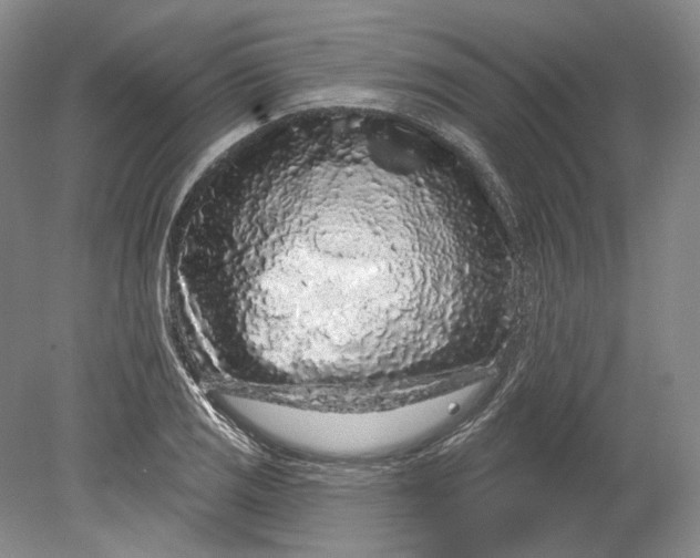 X0000080741125200701021140