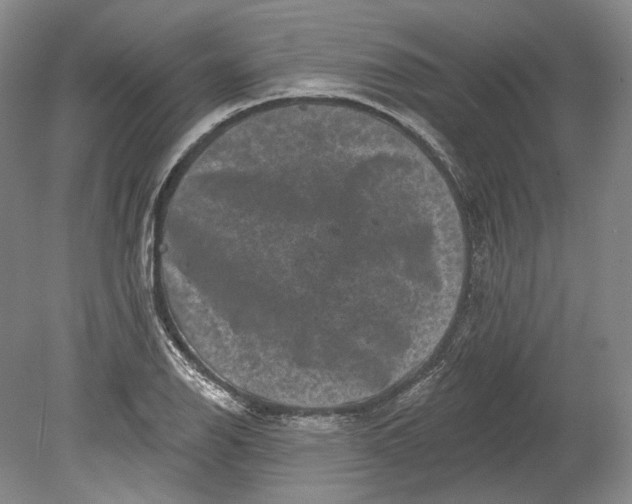 X0000080741126200701021140