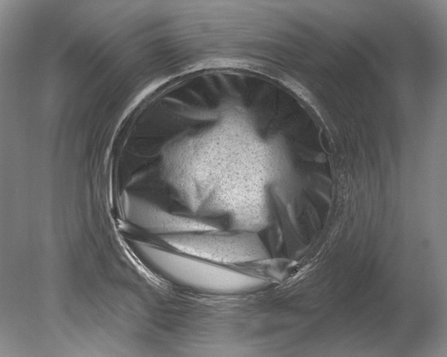 X0000080741127200701021140