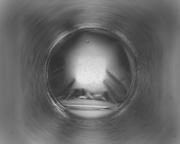 X0000080741129200701021140