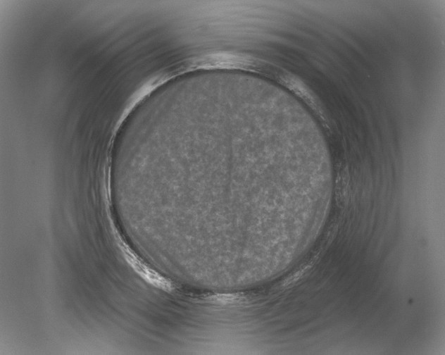 X0000080741130200701021140