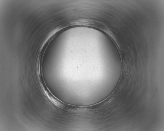 X0000080741131200701021140