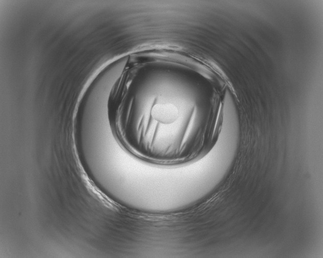 X0000080741132200701021140