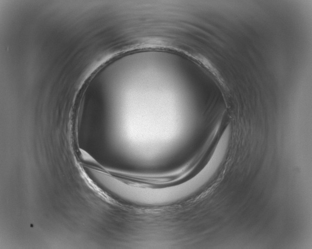 X0000080741134200701021140