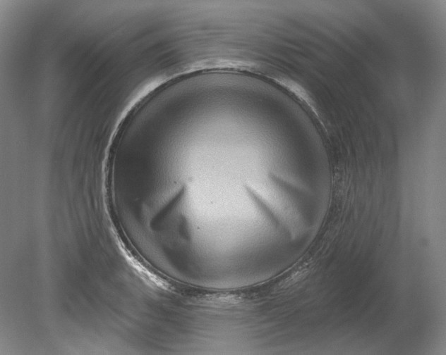 X0000080741135200701021140