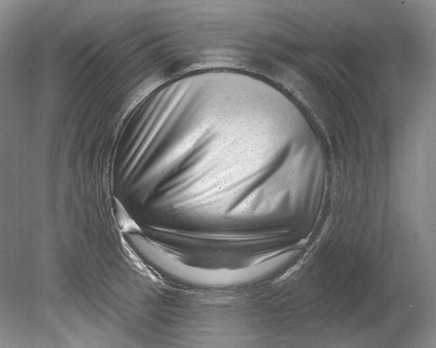 X0000080741137200701021140