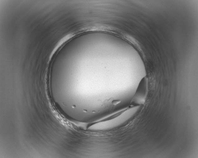 X0000080741138200701021140