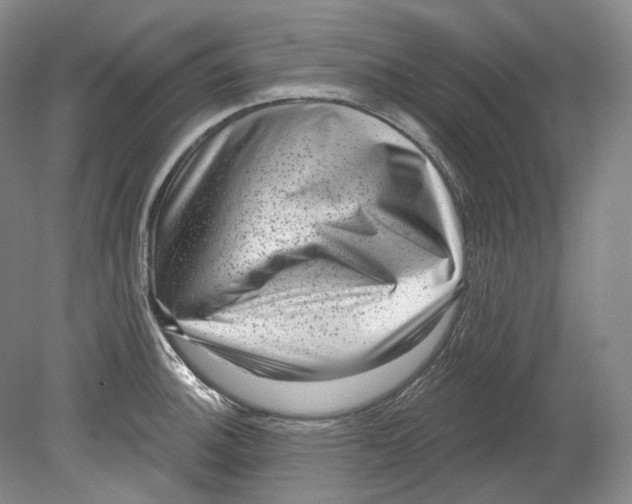 X0000080741140200701021140