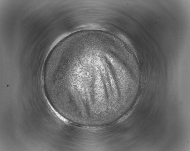 X0000080741141200701021140