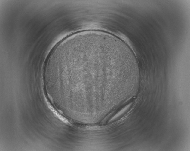 X0000080741142200701021140