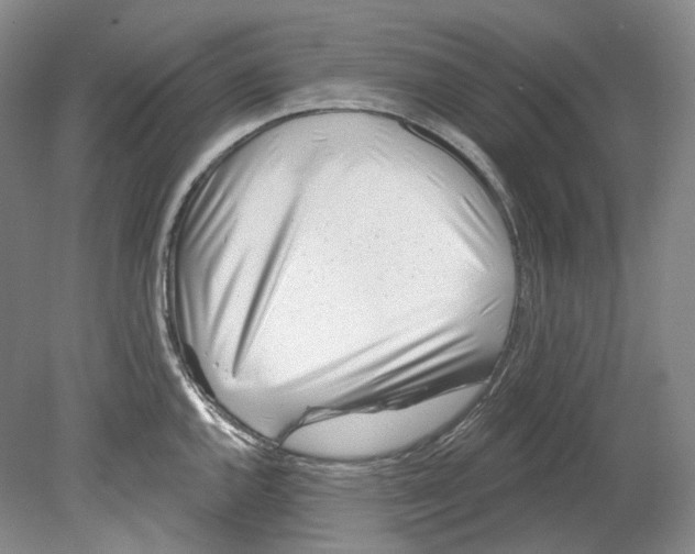 X0000080741144200701021140