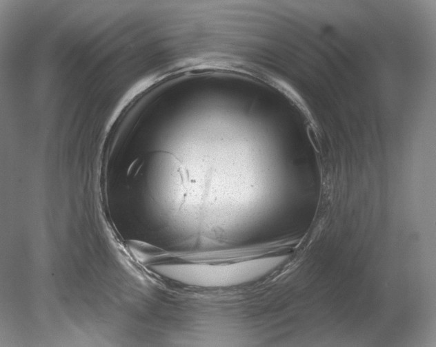 X0000080741146200701021140