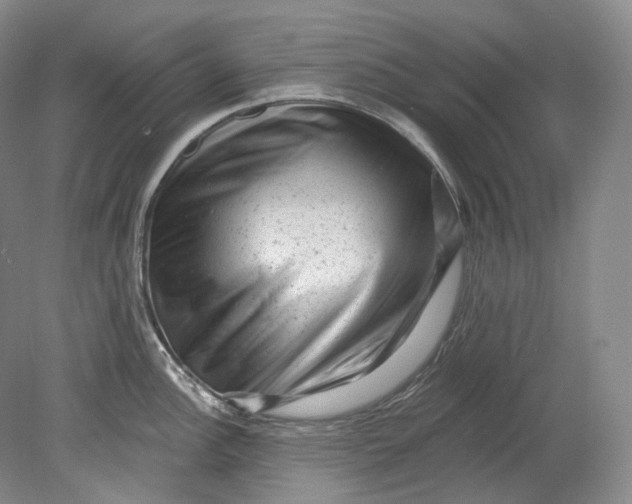 X0000080741148200701021140